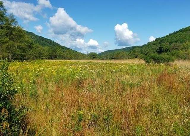 Property at 00 Route 44 North, Coudersport, PA 16915