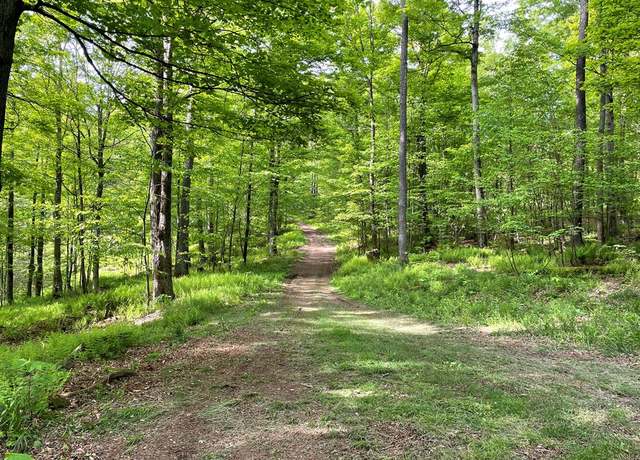 Property at 00 Mystery Mountain Ln, Coudersport, PA 16915