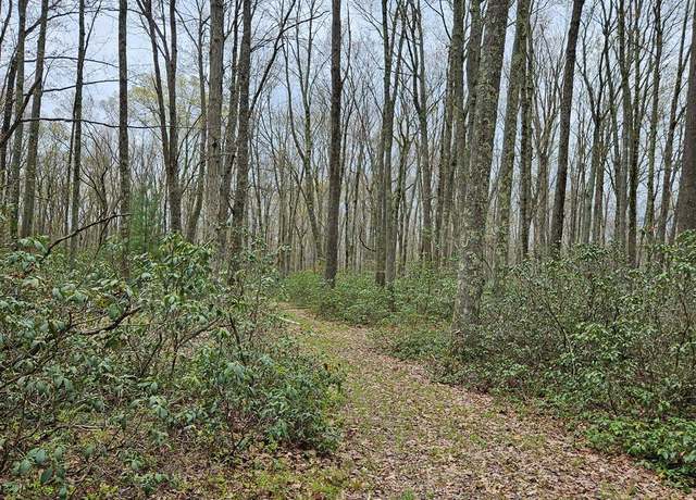 Property at 0 Coudersport Pike, Lock Haven, PA 17745