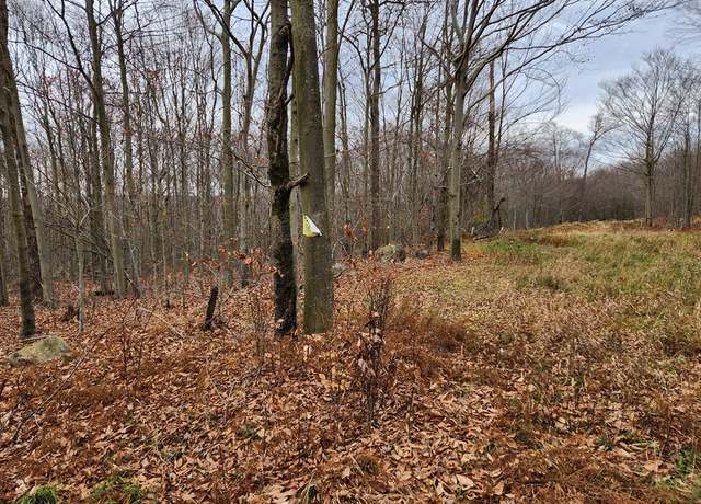 Property at Lot 14 Pole Bridge Rd, Laporte, PA 18626