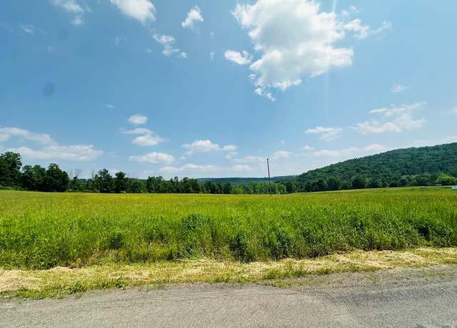 Property at 0 Moore Hill Rd, Nichols, NY 13812