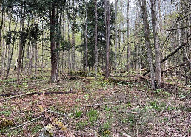 Property at 00 Route 6, Port Allegany, PA 16743