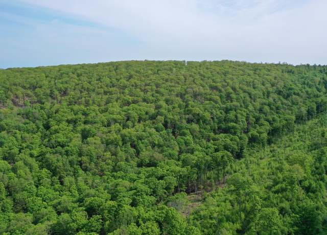 Property at 000 Hwy 44, Oswayo, PA 16915
