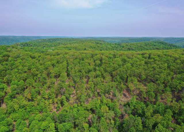 Property at 000 Old Township Rd, Coudersport, PA 16915