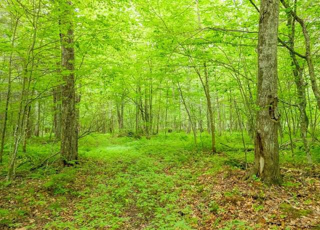 Property at 0 Sanitarium Hill Rd, Mainesburg, PA 16932