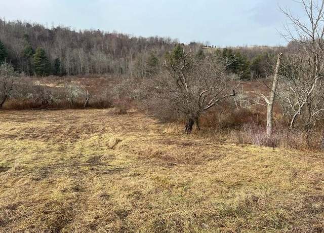Property at 997 State Route 367, Laceyville, PA 18623