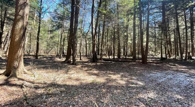 Photo of 0 Hemlock Ln, Galeton, PA 16922