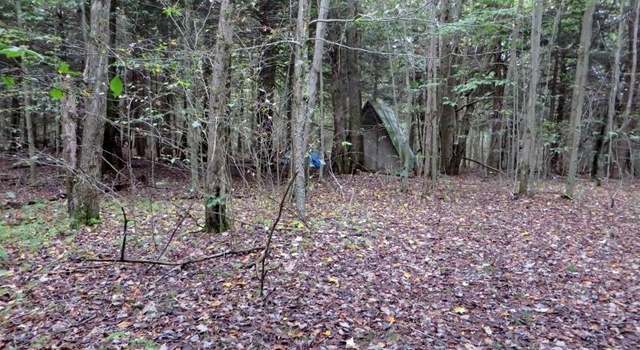 Photo of 230 Cavanaugh Rd, Dushore, PA 18614