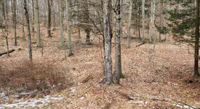 Photo of Lot 9 Woodland Dr, Eagles Mere, PA 17731