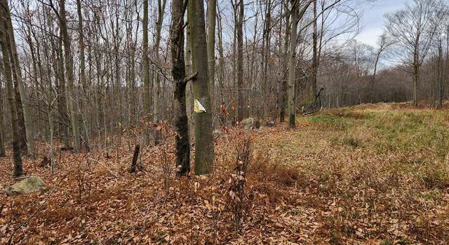 Photo of Lot 14 Pole Bridge Rd, Laporte, PA 18626