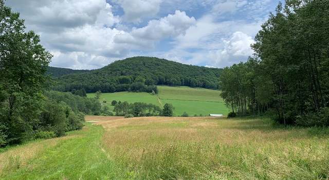 Photo of 00 Sartwell Creek Rd, Port Allegany, PA 16743