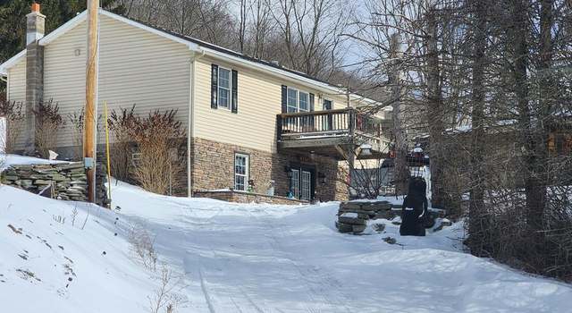 Photo of 686 Canada Hollow Rd, Shinglehouse, PA 16748