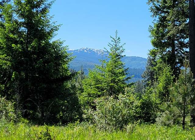 Property at NNA Falcon Ridge Drive-#1, Naples, ID 83847