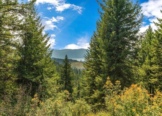Property at NNA E27 Wildridge Way, Sandpoint, ID 83864