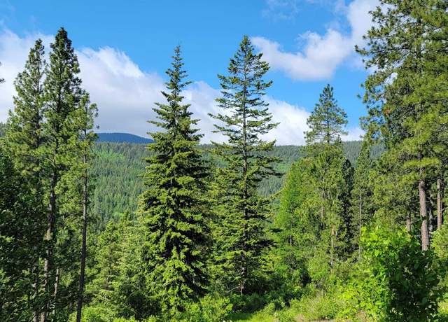 Property at NNA Snowcat Lane Tract 2, Bonners Ferry, ID 83805