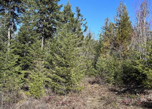 Property at NNA Blacktail Rd, Cocolalla, ID 83813