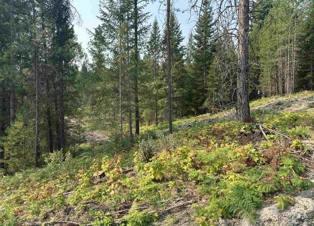 Property at NNA Peninsula Loop, Priest River, ID 83856