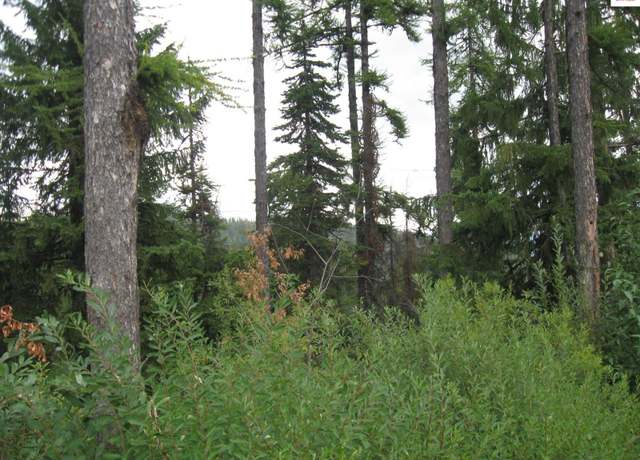 Property at NKA Parallel Run Lot 9A, Sandpoint, ID 83864