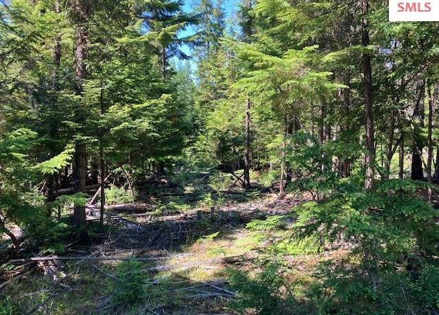 Property at NNA Toad Rd. ( 5 Acres ), Priest River, ID 83856