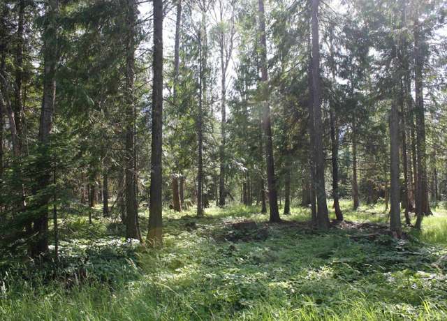 Property at NNA River Lake Dr, Clark Fork, ID 83811