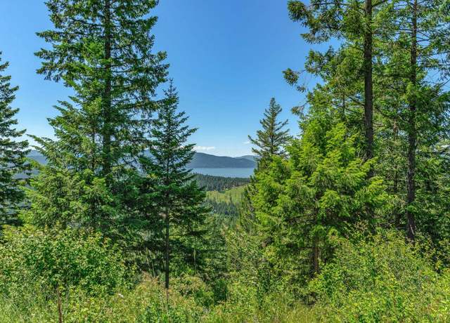 Property at NNA T1-A Green Monarch, Sandpoint, ID 83864