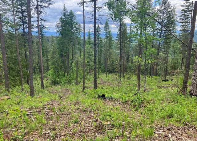 Property at NNA Gold Cup Mt. 40 Acres, Priest River, ID 83856