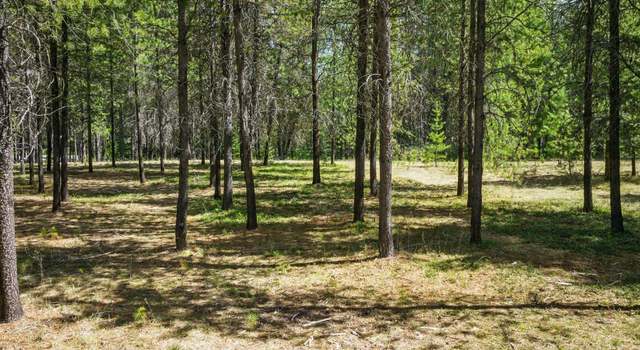 Photo of NNA Reeder Bay Rd, Nordman, ID 83848