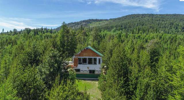Photo of 859 Otter Ln, Naples, ID 83847