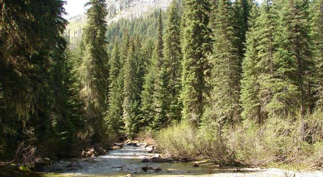 Photo of NNA Smith Creek Rd, Bonners Ferry, ID 83805