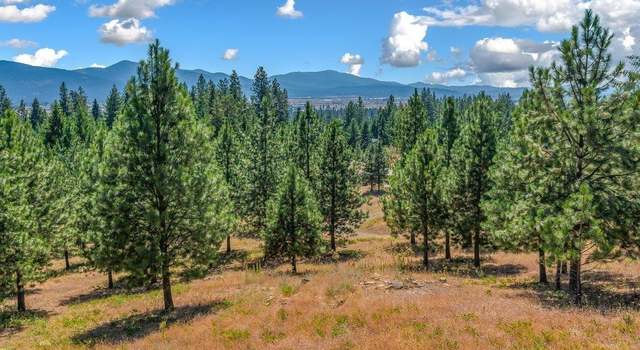 Photo of NNA Hollister Hills Dr, Hauser Lake, ID 83854
