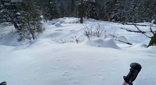 Photo of NNA Marie Victoria Ct Blk 2 Lot 12, Sandpoint, ID 83864