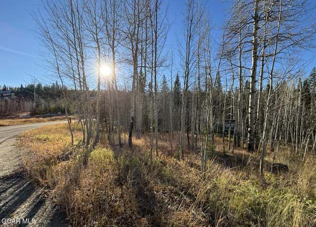 Property at 2060 Pioneer Trail Trl, Fraser, CO 80442