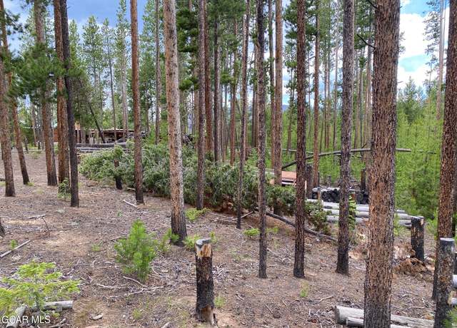 Property at 63 Gcr 499, Grand Lake, CO 80447