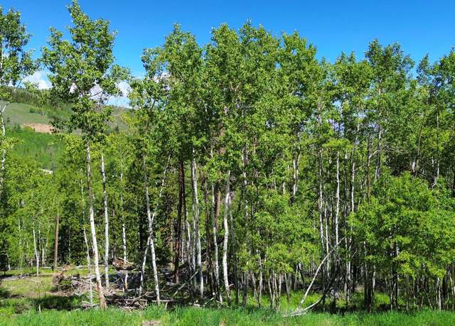 Property at 1765 Gcr 881 Aka Grenoble St, Granby, CO 80446