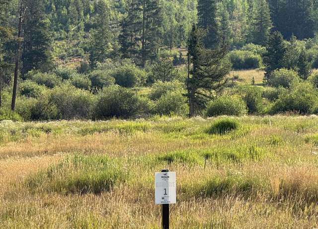 Property at 262 Beavers Lodge Rd, Winter Park, CO 80482