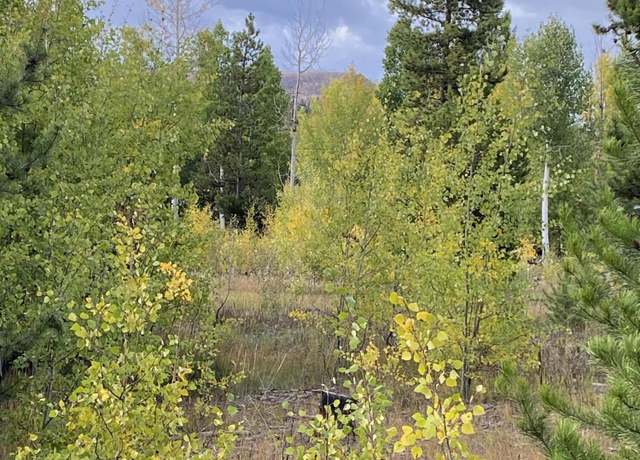 Property at 29 Gcr 4035, Grand Lake, CO 80447
