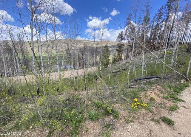 Property at 1246 Gcr 412, Grand Lake, CO 80447