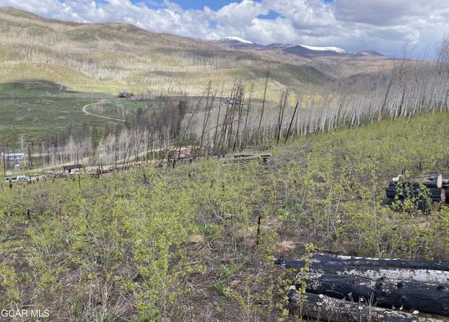 Property at 1246&1274 Gcr 412, Grand Lake, CO 80447