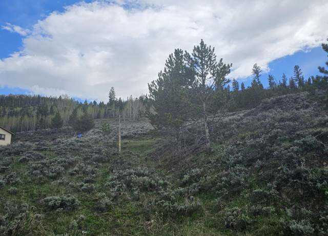 Property at TBD Roosevelt, Hot Sulphur Springs, CO 80451