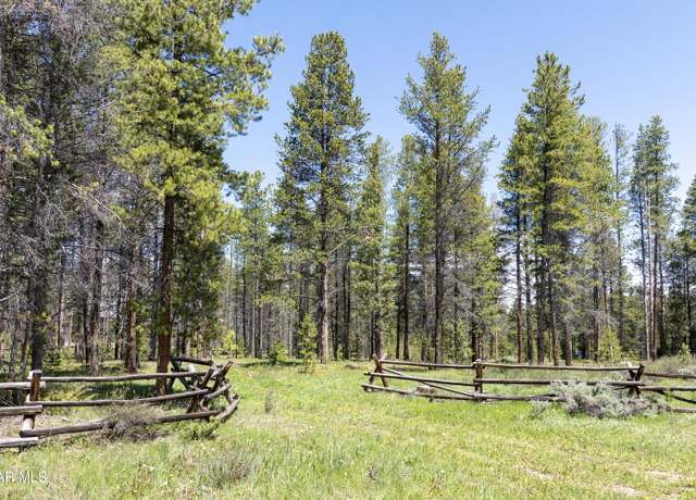 Property at 18 Gcr 517, Fraser, CO 80442