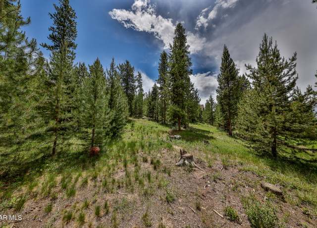 Property at 649 Gcr 4632, Grand Lake, CO 80447