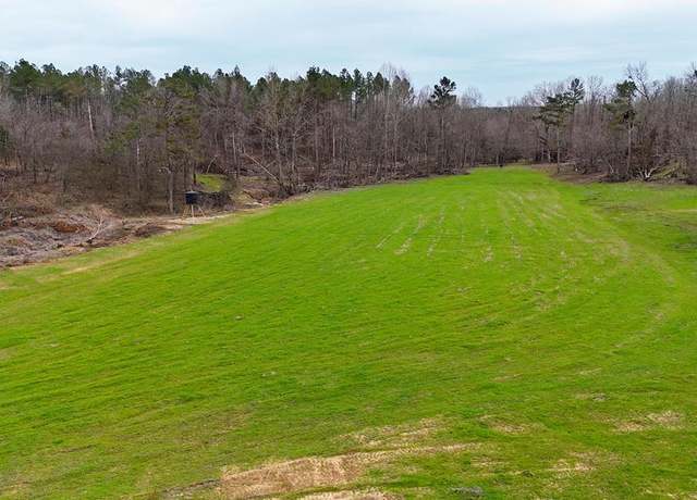 Property at 0 Highway 7, Other, MS 38683