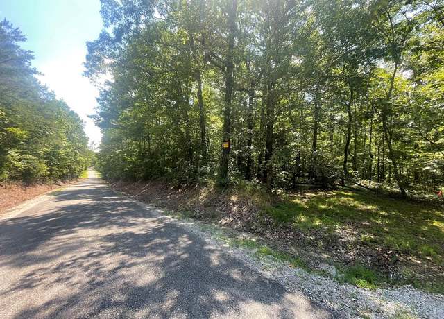Property at 46 Cr 287, Oxford, MS 38655