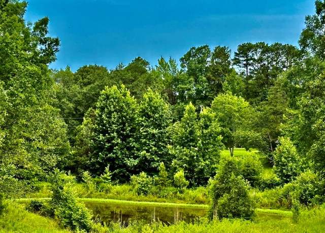 Property at TBD CR 102 (old Town Rd), Pittsboro, MS 38951