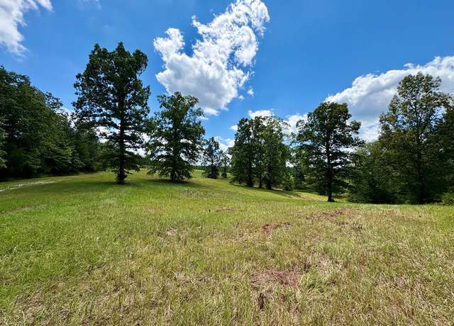 Property at TBD CR 102 (old Town Rd), Pittsboro, MS 38951