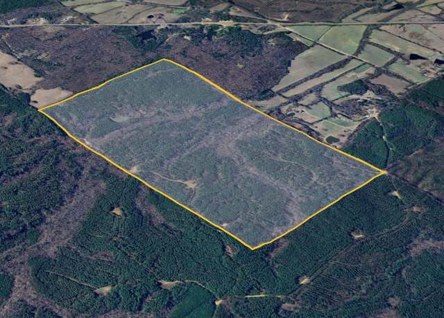 Property at TBD Cr 428, Paris, MS 38949
