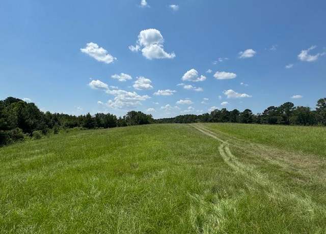 Property at 0 Burt Loop Rd, Other, MS 39059
