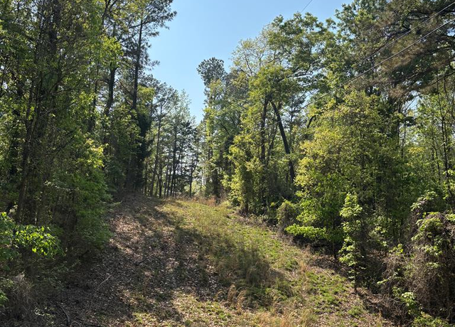 Property at 00 Cr 270, Oxford, MS 38655