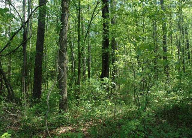 Property at 0 North Main, Water Valley, MS 38965