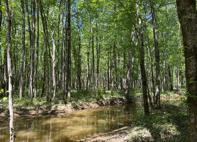 Property at 0 County Road 4170, Other, MS 38859